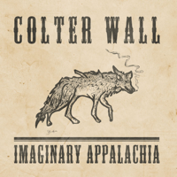Colter Wall - Imaginary Appalachia artwork