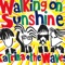 Walking on Sunshine (2004 Version) artwork