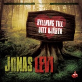 Hyllning Till Ditt Hjärta - EP artwork