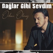 Dağlar Gibi Sevdim artwork