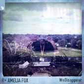 WeDisappear (DJ Mix) [feat. Amelia Fox] artwork