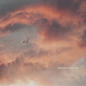 Paradise Lost Remixes - EP artwork