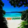 Stream & download Nem Ligando (feat. mcpl)