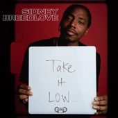 Take It Low artwork