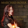 Secret Love Affair (feat. RYU ZEE SU) - Single