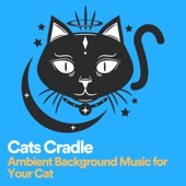 Cats Cradle Ambient Background Music for Your Cat artwork