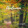 Autumn - Single