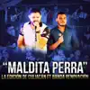 Maldita Perra (En Vivo) [feat. Banda Renovación] - Single album lyrics, reviews, download