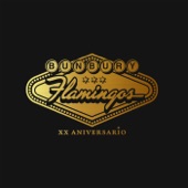 Flamingos XX Aniversario artwork