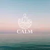 Calm - Single album lyrics, reviews, download