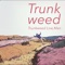 Chumped - Trunkweed lyrics