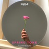 Spring Tone - Single