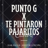 Punto G x Pajaritos en el aire artwork