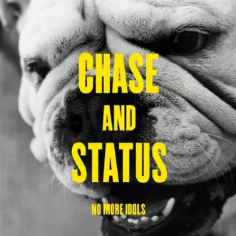 Blind Faith (feat. Liam Bailey) by Chase & Status song reviws