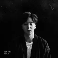 The Great Dipper by Roy Kim album reviews, ratings, credits