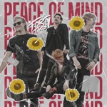 The Forty Twos - Peace of Mind