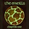 Avicii - The O'Neills lyrics