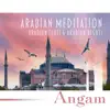 Arabian Meditation: Arabian Flute & Arabian Nights, Arap Müziği, Música Arabe para Bailar, Música Arabe Tradicional, Islamic Chants album lyrics, reviews, download