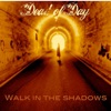 Walk in the Shadows