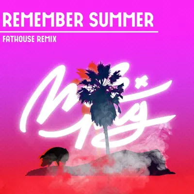 Remember Summer (Fathouse Remix) - Single - Mr. Pig