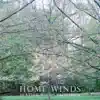 Home Winds - Single album lyrics, reviews, download