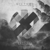 Victory artwork