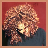 The Velvet Rope (Deluxe Edition) artwork