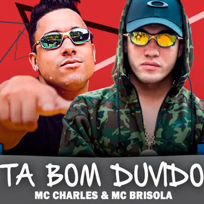 Tá Bom Duvido - Single - MC Brisola