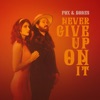 Never Give Up On It - Single