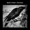 Nevermore - Single