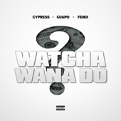 Watcha Wana Do (feat. Fenix Flexin) artwork