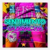 SENTIMIENTO (feat. DJ ISHI) - Single