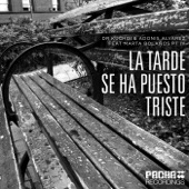 La Tarde Se Ha Puesto Triste (feat. Marta Bolaños) [Moran Kariv Remix] artwork