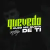 Quevedox Vs Algo Me Gusta de Ti (Remix) song lyrics