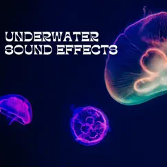 Underwater Sound Effects by Underwater Sounds Channel, Water Soundscapes & Mother Nature Sound FX album reviews, ratings, credits
