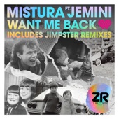 Want Me Back (feat. Jemini The Gifted One) [Jimpster Jazz'd up Remix] artwork