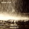 Agua Viva