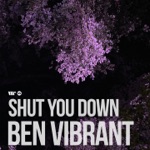 Ben Vibrant - Shut You Down