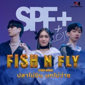 Fish n Fly (feat. Rika Intergirl) artwork