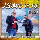 Lágrimas De Oro (feat. Robertito Hernández) artwork