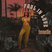 Fool In Love artwork