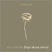 The Promise (Kojo Akusa Remix) artwork