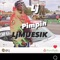 Pimpin - Lj Mue$ik lyrics