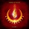 Amaterasu (Rara Avis Remix) - Joss Jaffe lyrics