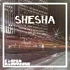 Stream & download Shesha - Single