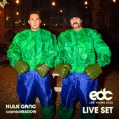 Hulk Gang at EDC Las Vegas 2022: Cosmic Meadow Stage (DJ Mix) artwork