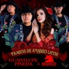 Tragos de Amargo Licor - Single