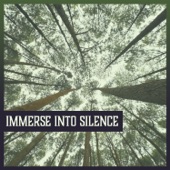 Immerse into Silence – Stress Relief, Sleeping Trouble, Calming Yoga Music, Peace & Harmony, Nature Sound artwork
