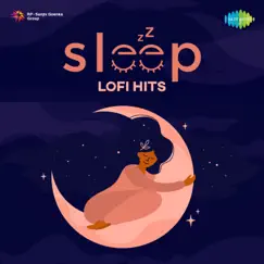 Mere Samnewali Khidki Mein - Lofi Song Lyrics