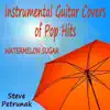 Instrumental Guitar Covers of Pop Hits: Watermelon Sugar album lyrics, reviews, download